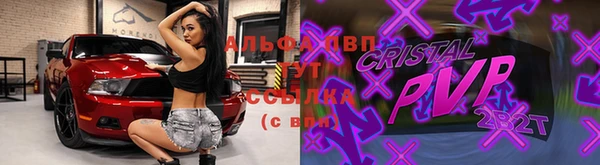 эйфоретик Горняк
