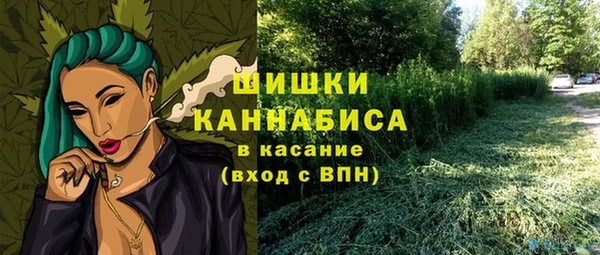 2c-b Горно-Алтайск