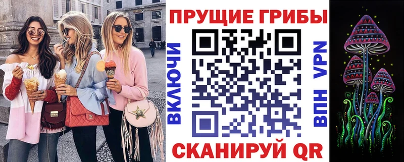 Купить закладки Бобров Галлюциногенные грибы Cubensis